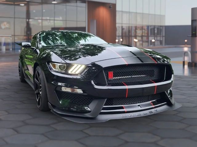 2019 Ford Mustang Shelby GT350R Fastback - 22938521 - 15
