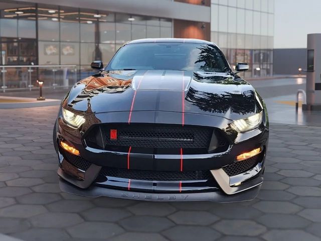 2019 Ford Mustang Shelby GT350R Fastback - 22938521 - 16