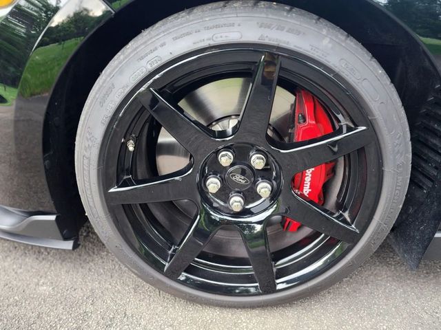 2019 Ford Mustang Shelby GT350R Fastback - 22938521 - 18