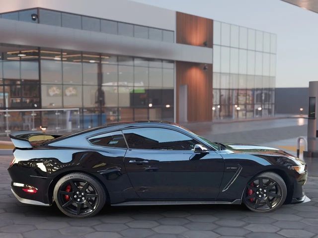 2019 Ford Mustang Shelby GT350R Fastback - 22938521 - 1