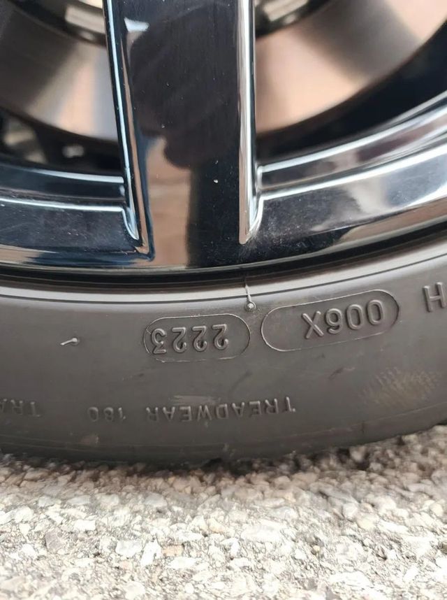 2019 Ford Mustang Shelby GT350R Fastback - 22938521 - 22