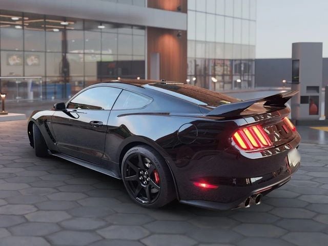 2019 Ford Mustang Shelby GT350R Fastback - 22938521 - 2