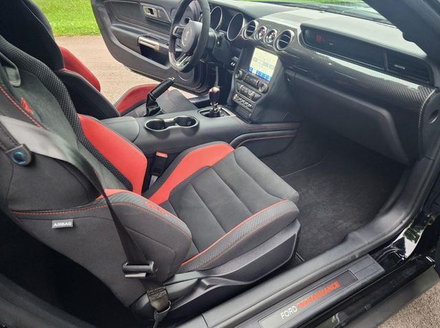 2019 Ford Mustang Shelby GT350R Fastback - 22938521 - 33