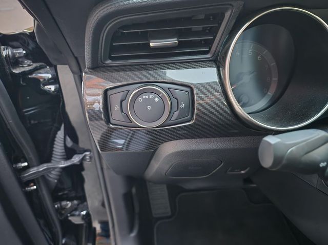 2019 Ford Mustang Shelby GT350R Fastback - 22938521 - 34