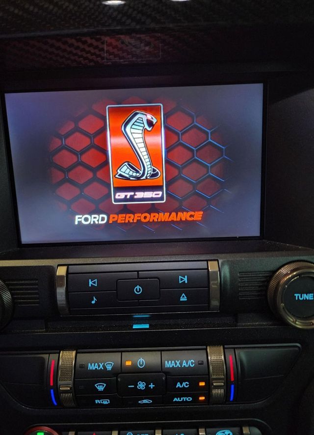 2019 Ford Mustang Shelby GT350R Fastback - 22938521 - 37