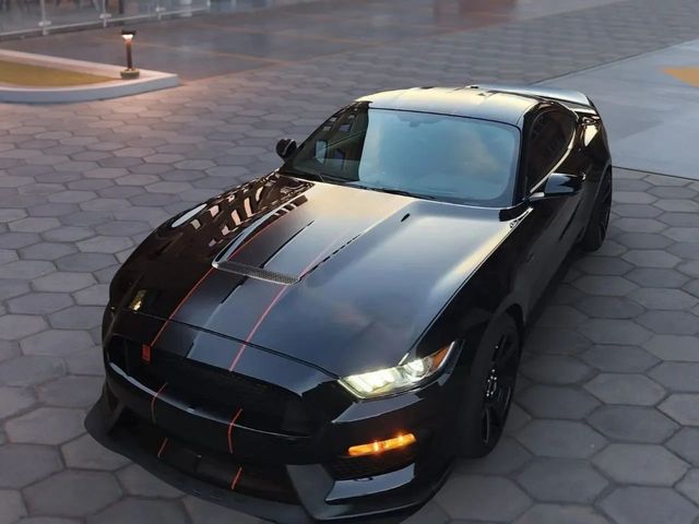 2019 Ford Mustang Shelby GT350R Fastback - 22938521 - 3