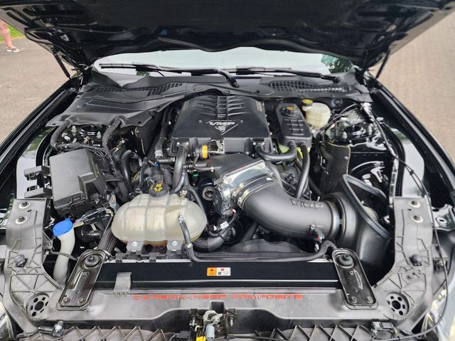 2019 Ford Mustang Shelby GT350R Fastback - 22938521 - 51