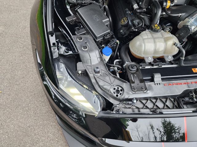 2019 Ford Mustang Shelby GT350R Fastback - 22938521 - 52