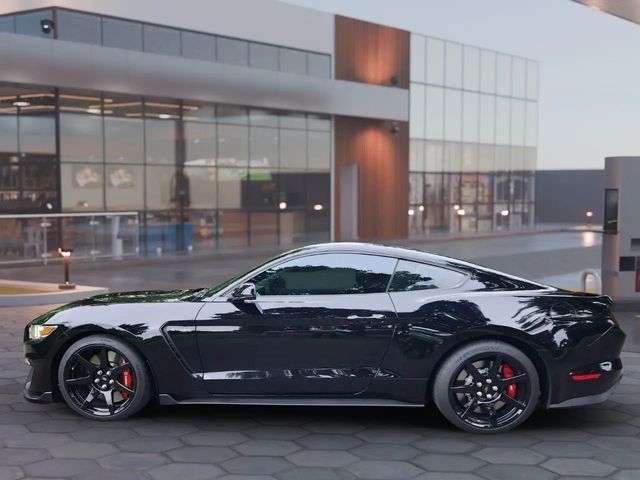 2019 Ford Mustang Shelby GT350R Fastback - 22938521 - 8