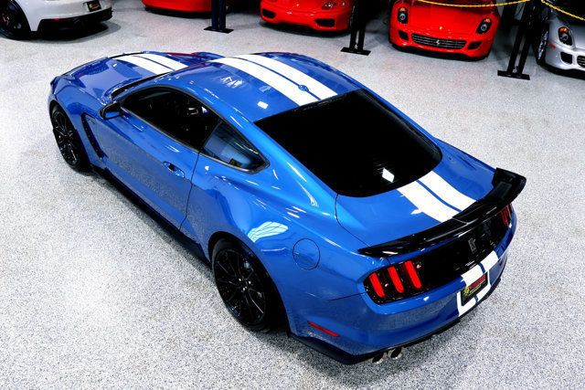 2019 Ford Mustang Shelby GT350 photo 10