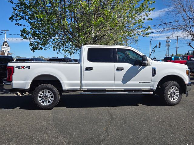 2019 Ford Super Duty F-250 SRW  - 22994603 - 2