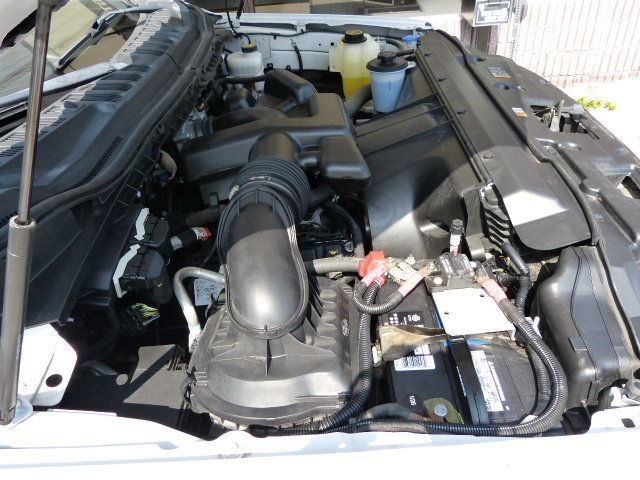 2019 Ford Super Duty F-250 SRW 6.2L V8 GAS*XL*2WD*REG CAB*2WD*8' BED*"ADRIAN STEEL" LADDER RACK - 23025772 - 10