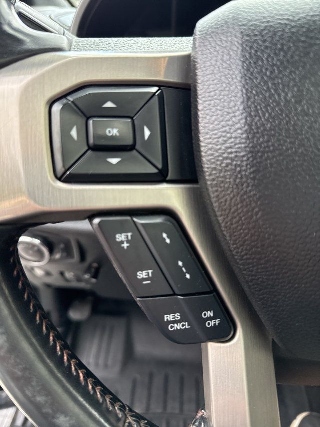 2019 Ford Super Duty F-250 SRW Platinum - 22922562 - 29