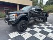 2019 Ford Super Duty F-250 SRW Platinum - 22922562 - 6