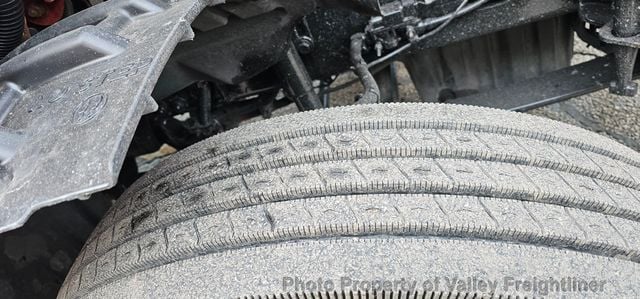 2019 Freightliner Cascadia 126  - 22969117 - 13