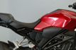 2019 Honda CB300R One Owner, 275 Miles - 22828478 - 6