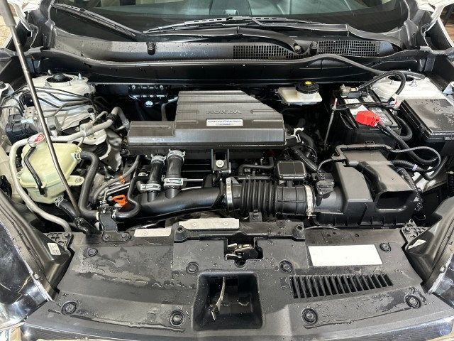 2019 Honda CR-V EX-L 2WD - 22662016 - 21