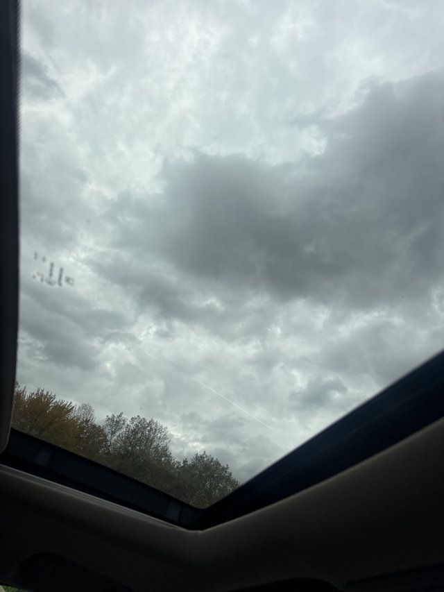 2019 Honda Odyssey EX-L Automatic - 22937975 - 24