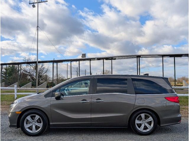 2019 Honda Odyssey EX-L Automatic - 22957633 - 3