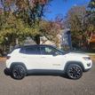 2019 Jeep Compass Trailhawk 4x4 - 22632734 - 4