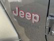 2019 Jeep Wrangler Unlimited Rubicon 4x4 - 22993362 - 12