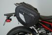 2019 Kawasaki Z900 Includes Warranty! - 22850521 - 9