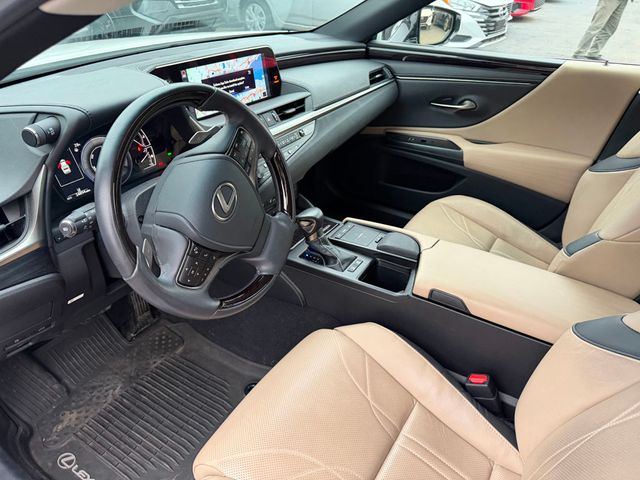 2019 Lexus ES ES 300h FWD (Clear Title) - 22964545 - 6