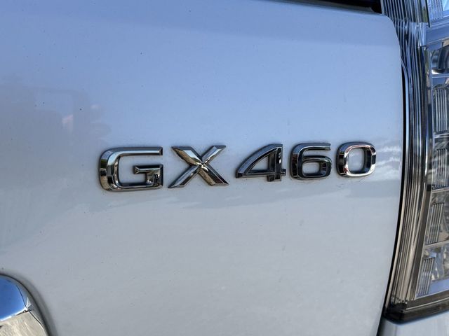 2019 Lexus GX GX 460 Premium 4WD - 22815101 - 14