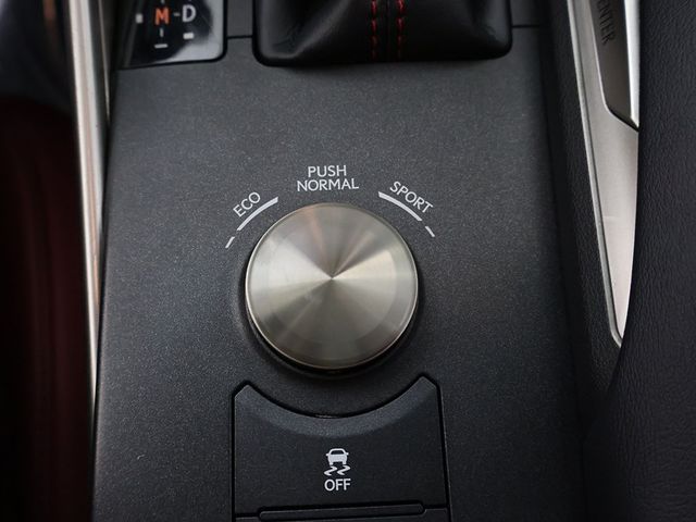 2019 Lexus IS IS 300 AWD - 22991861 - 53