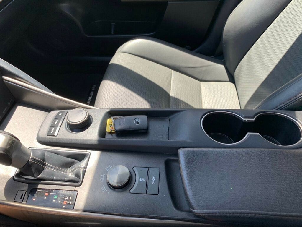 2019 Lexus IS IS 300 RWD - 23035282 - 45