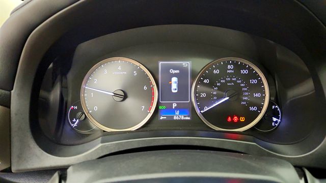 2019 Lexus IS IS 300 RWD - 23074613 - 14