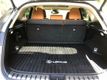 2019 Lexus NX NX 300 AWD - 23043355 - 5