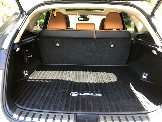 2019 Lexus NX NX 300 AWD - 23043355 - 5