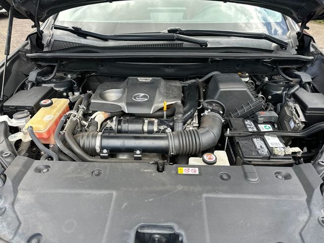 2019 Lexus NX NX 300 FWD - 22996328 - 19