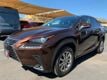 2019 Lexus NX NX 300 FWD 1-Owner - 22634913 - 4