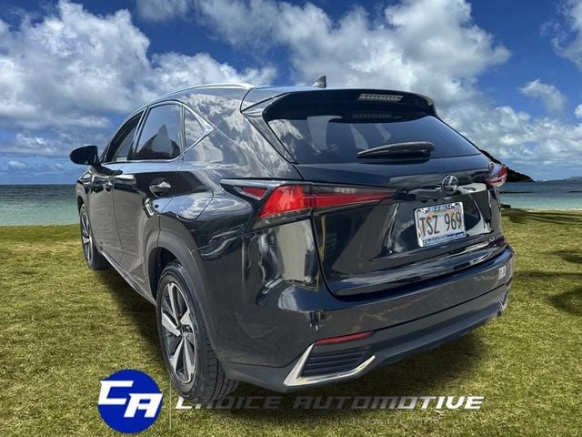 2019 Lexus NX NX 300h AWD - 22762773 - 4