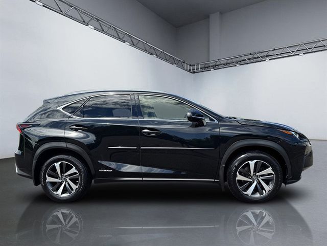 2019 Lexus NX NX 300h AWD - 23063983 - 2