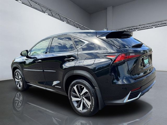 2019 Lexus NX NX 300h AWD - 23063983 - 4