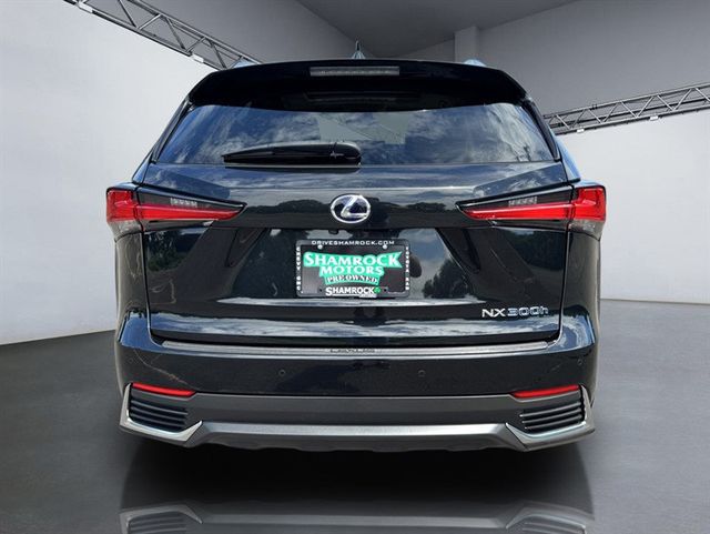 2019 Lexus NX NX 300h AWD - 23063983 - 5