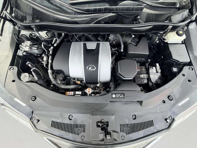 2019 Lexus RX RX 350 AWD - 23030934 - 11