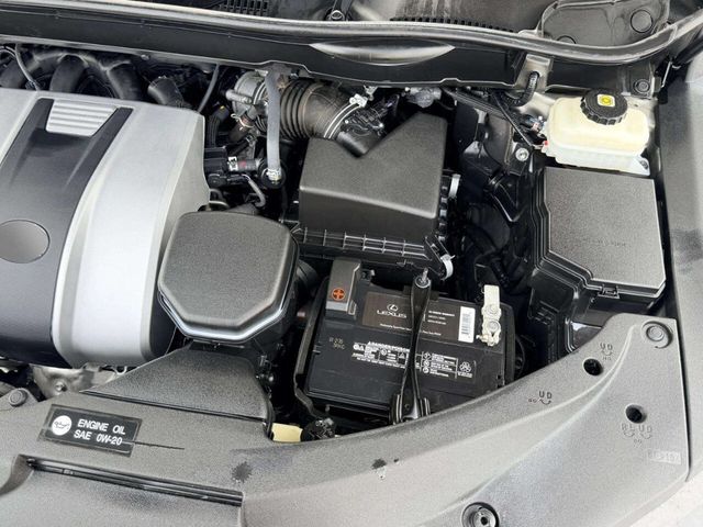 2019 Lexus RX RX 350 AWD - 23030934 - 13