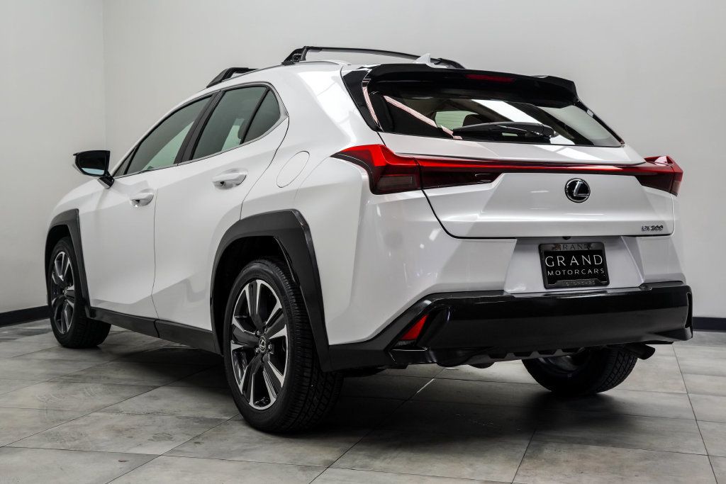 Lexus UX photo 11