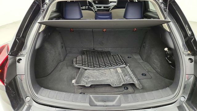 2019 Lexus UX UX 200 with Moonroof and Blind Spot Monitor - 22941422 - 22