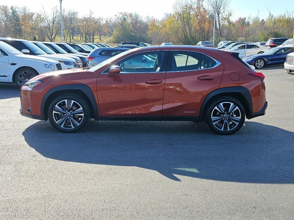 2019 Lexus UX UX 250h AWD - 22946560 - 16