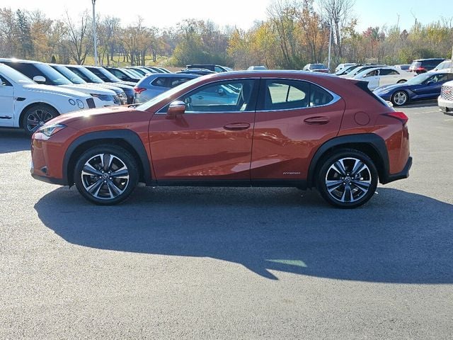 2019 Lexus UX UX 250h AWD - 22946560 - 16