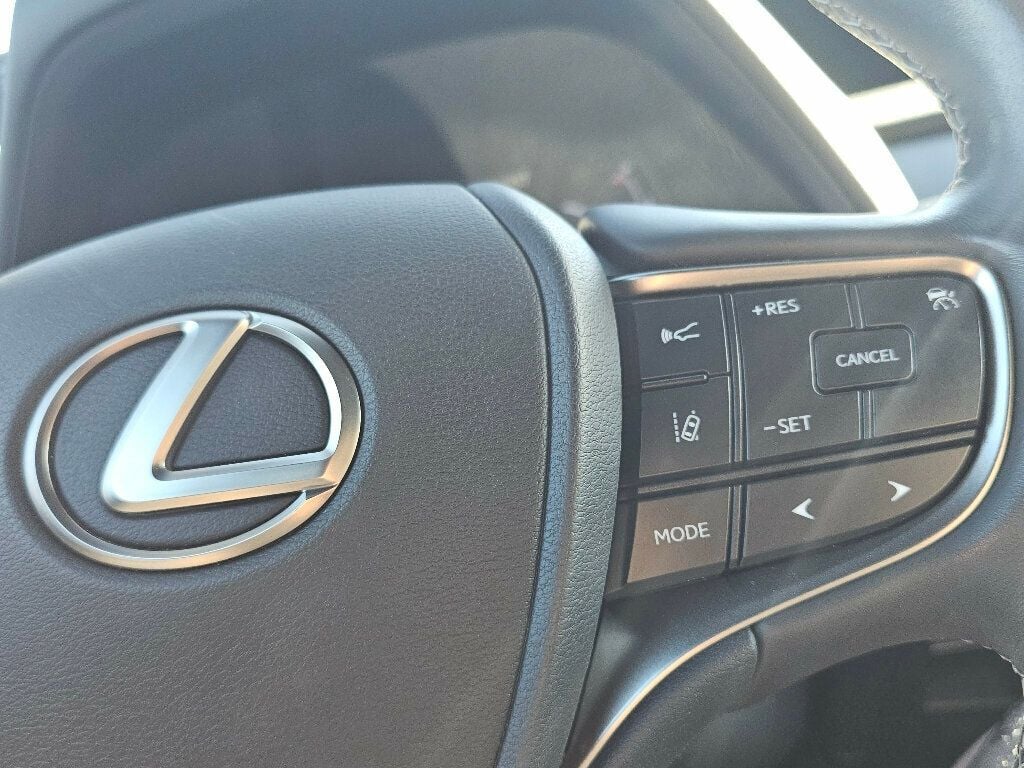 2019 Lexus UX UX 250h AWD - 22946560 - 23