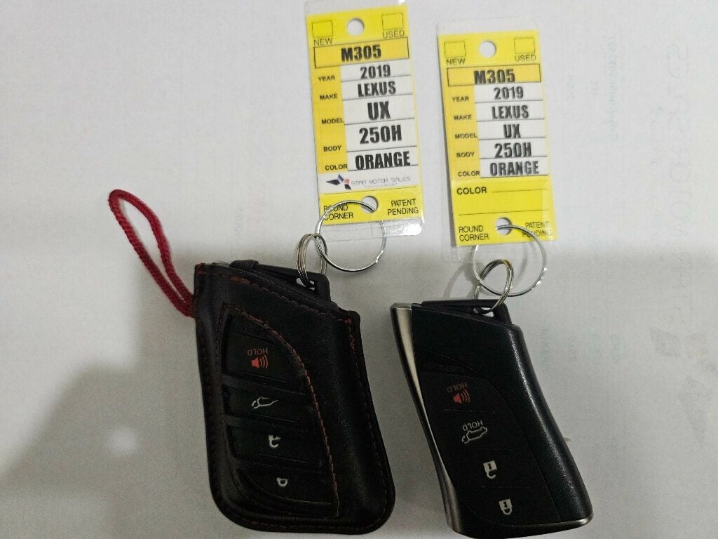 2019 Lexus UX UX 250h AWD - 22946560 - 3