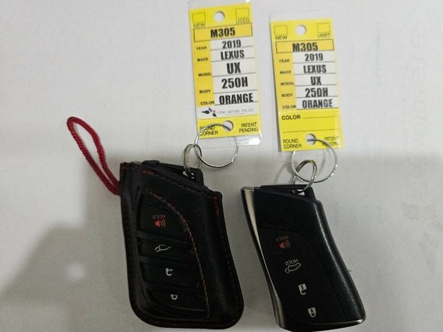 2019 Lexus UX UX 250h AWD - 22946560 - 3