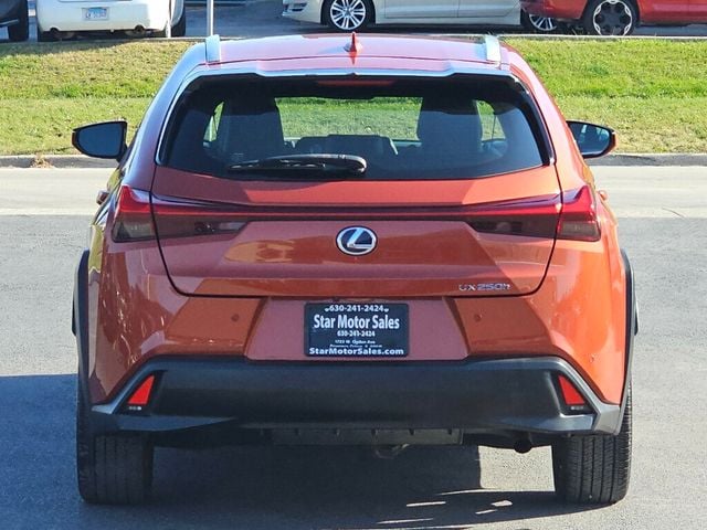 2019 Lexus UX UX 250h AWD - 22946560 - 6