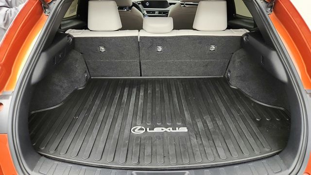 2019 Lexus UX UX 250h AWD with Premium Package & Parking Assist - 22947412 - 23